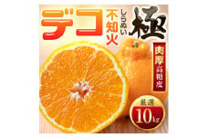 ＜太陽をたっぷり浴びた＞デコ(不知火)＜極＞10kg＜H49-47＞【1509744】