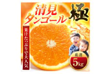 ＜太陽をたっぷり浴びた＞清見タンゴール＜極＞5kg＜C49-52＞【1509749】