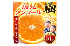 ＜太陽をたっぷり浴びた＞清見タンゴール＜極＞10kg＜F49-53＞【1509750】
