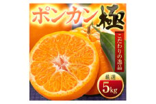 ＜太陽をたっぷり浴びた＞ポンカン＜極＞5kg＜C49-55＞【1509752】
