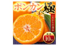 ＜太陽をたっぷり浴びた＞ポンカン＜極＞10kg＜F49-56＞【1509753】