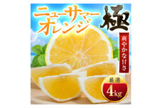 ＜太陽をたっぷり浴びた＞ニューサマーオレンジ＜極＞4kg＜C49-57＞_ みかん ミカン 柑橘 果物 くだもの フルーツ 日向夏 甘い 希少 愛媛 デザート 愛媛みかん 極 ジューシー 果汁たっぷり ブランド 厳選 オレンジ 【1509760】