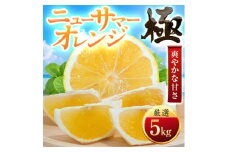 ＜太陽をたっぷり浴びた＞ニューサマーオレンジ＜極＞5kg＜E49-58＞_ みかん ミカン 柑橘 果物 くだもの フルーツ 日向夏 甘い 希少 愛媛 デザート 愛媛みかん 極 ジューシー 果汁たっぷり ブランド 厳選 オレンジ 【1509761】