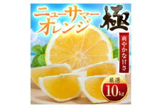 ＜太陽をたっぷり浴びた＞ニューサマーオレンジ＜極＞10kg＜H49-59＞【1509762】