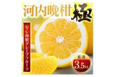 ＜太陽をたっぷり浴びた＞河内晩柑＜極＞3.5kg＜C49-60＞_ みかん ミカン 柑橘 果物 晩柑 くだもの フルーツ 甘い 希少 愛媛 デザート 愛媛みかん 和製グレープフルーツ 極 ジューシー 果汁たっぷり ブランド 厳選 【1509763】