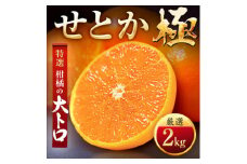 「夕やけブランド」柑橘の大トロ!＜せとか＞2kg＜C49-66＞【1509769】