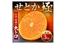 「夕やけブランド」柑橘の大トロ!＜せとか＞3kg＜E49-67＞_みかん ミカン 蜜柑 せとか 果物 くだもの フルーツ デザート 甘い おいしい かんきつ 柑橘 柑橘類 国産 愛媛 愛媛県 八幡浜市 産直 産地直送 送料無料【1509770】