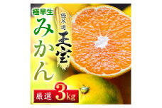 ＜愛媛名産＞極早生みかん 3kg＜C64-18＞【1510670】