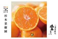 ＜2024年12月以降発送＞〈特選〉真穴、杉本果樹園の八寿みかん(南柑20号)5kg＜D34-23＞_ みかん ミカン 柑橘 フルーツ くだもの 果物 ふるーつ 青果 果実 甘い ジューシー 産直 産地直送 旬 【1510694】