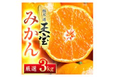 ＜愛媛名産＞玉宝みかん＜雫・・小玉＞ 3kg＜C64-29＞【1510738】