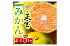 ＜愛媛名産＞極早生みかん＜雫・・小玉＞ 5kg＜C64-23＞【1510676】