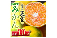 ＜愛媛名産＞極早生みかん＜雫・・小玉＞ 10kg＜F64-24＞【1510680】