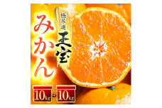 ＜愛媛名産＞玉宝みかん 20kg＜H64-28＞【1510744】