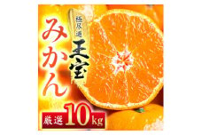 ＜愛媛名産＞玉宝みかん＜雫・・小玉＞ 10kg＜G64-30＞_ みかん ミカン 柑橘 フルーツ くだもの 果物 ふるーつ 青果 果実 甘い ジューシー 産直 産地直送 旬 柑橘類 人気 小玉 【1510746】
