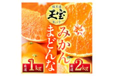 「玉宝ブランド」＜まどんな＞1kg+＜玉宝みかん＞2kgセット＜D64-32＞【1510835】