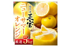 ＜愛媛名産＞玉宝ニューサマーオレンジ　5kg＜E64-38＞_ みかん ミカン 柑橘 日向夏 ニューサマーオレンジ フルーツ くだもの 果物 ふるーつ 青果 果実 甘い ジューシー 産直 産地直送 旬 柑橘類 人気 愛媛 果汁 【1510842】