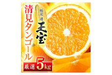 ＜愛媛名産＞玉宝清見タンゴール　5kg＜C64-35＞【1510847】