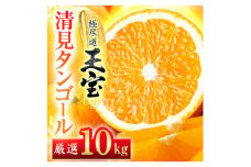 ＜愛媛名産＞玉宝清見タンゴール　10kg＜F64-36＞【1510855】