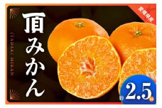 三代目がつくる高品質＜頂みかん＞2.5kg＜A31-36＞_ みかん ミカン 柑橘 フルーツ 果物 くだもの 青果 産地直送 産直 愛媛 甘い 濃い 【1509616】