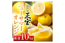 ＜愛媛名産＞玉宝ニューサマーオレンジ　10kg＜H64-39＞【1510857】