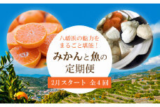 ＜発送月固定定期便＞みかんと魚の町八幡浜!みかんと魚の定期便～2月スタート便＜H25-89＞全4回【4051618】