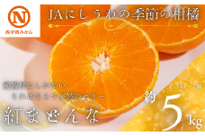 JAにしうわの季節の柑橘(紅まどんな 約2.5kg×2箱)＜H08-50＞_ 紅マドンナ 紅まどんな みかん ミカン 常温 国産 フルーツ 果物 くだもの 人気 柑橘 かんきつ 愛媛 旬 産地直送 産直 季節限定 甘い 限定 ジューシー 【1443404】