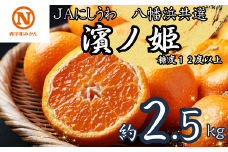 JAにしうわの季節の柑橘(八幡浜共選「濱ノ姫」約2.5kg)＜D08-76＞_ みかん ミカン 柑橘 フルーツ くだもの 果物 ふるーつ 青果 果実 甘い ジューシー 産直 産地直送 旬 柑橘類 人気 愛媛 果汁 JA 農協 濃厚 コク 【1510451】