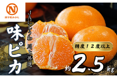 JAにしうわの季節の柑橘(川上共選　味ピカ2.5kg)＜C08-78＞【1510453】