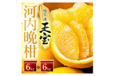 ＜愛媛名産＞玉宝河内晩柑　12kg＜F64-54＞【1511222】