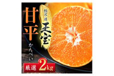 「玉宝ブランド」＜甘平＞2kg＜D64-43＞_ みかん ミカン 柑橘 甘平 カンペイ かんぺい フルーツ くだもの 果物 ふるーつ 青果 果実 甘い ジューシー 産直 産地直送 旬 柑橘類 人気 愛媛 果汁 【1511245】