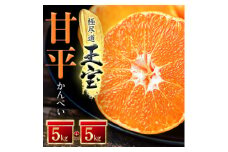 「玉宝ブランド」＜甘平＞10kg＜H64-45＞【1511265】