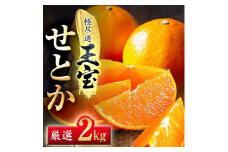 「玉宝ブランド」＜せとか＞2kg＜C64-46＞_ みかん せとか 蜜柑 ミカン 愛媛 柑橘 かんきつ 愛媛みかん 果物 くだもの フルーツ 果実 青果 デザート おいしい 2kg 1箱 産直 産地直送 愛媛県 国産 送料無料 【1511267】