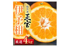 ＜愛媛名産＞玉宝伊予柑　4kg＜C64-58＞【1511350】