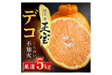 ＜愛媛名産＞玉宝デコ(不知火)　5kg＜E64-50＞【1511354】