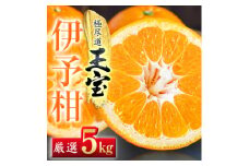 ＜愛媛名産＞玉宝伊予柑　5kg＜C64-59＞【1511355】
