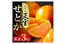 「玉宝ブランド」＜せとか＞3kg＜E64-47＞_ みかん せとか 蜜柑 ミカン 愛媛 柑橘 かんきつ 愛媛みかん 果物 くだもの フルーツ 果実 青果 デザート おいしい 3kg 1箱 産直 産地直送 愛媛県 国産 送料無料 【1511359】