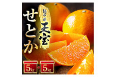 「玉宝ブランド」＜せとか＞10kg＜H64-48＞【1511361】