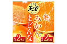 「玉宝ブランド」＜まどんな＞ 2kg + ＜玉宝みかん＞ 2kgセット＜E64-33＞【1511367】