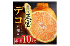 ＜愛媛名産＞玉宝デコ(不知火)　10kg＜H64-51＞_ みかん 不知火 しらぬい 蜜柑 ミカン 愛媛 柑橘 かんきつ 愛媛みかん 果物 くだもの フルーツ 果実 青果 デザート おいしい 10kg 1箱 産直 産地直送 愛媛県 国産 送料無料 【1511377】