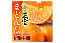 「玉宝ブランド」＜まどんな＞10kg　※紅まどんなと同品種　＜H64-42＞【1511380】