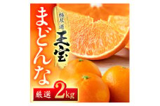 「玉宝ブランド」＜まどんな＞2kg　※紅まどんなと同品種　＜D64-40＞_ みかん ミカン 柑橘 まどんな マドンナ フルーツ くだもの 果物 ふるーつ 青果 果実 甘い ジューシー 産直 産地直送 旬 柑橘類 人気 【1511382】