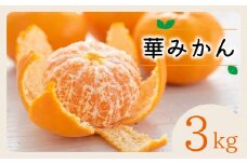 ＜2025年11月以降順次発送＞華みかん3kg＜A33-39＞_みかん ミカン 柑橘 フルーツ 果物 くだもの 完熟 産直 産地直送 甘い ジューシー 糖度 愛媛 おすすめ 人気 送料無料【1512259】