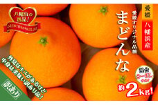 2025年11月より発送開始　ぷるぷる食感!!「まどんな」約2キロ＜訳あり・家庭用＞＜C39-58＞【1512437】