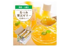 愛媛産希少品種 なつみ寒天ゼリー12本セット＜D25-18＞【1255527】