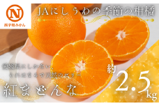 JAにしうわの季節の柑橘(紅まどんな 約2.5kg)＜G08-49＞_ みかん ミカン 紅まどんな 紅マドンナ まどんな 柑橘 フルーツ くだもの 果物 ふるーつ 青果 果実 甘い ジューシー 産直 産地直送 旬 柑橘類 人気 愛媛 果汁 JA 【1443382】