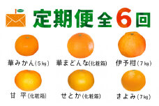 ＜発送月固定定期便＞コウ果樹園の旬の柑橘定期便(11月-4月)＜H33-40＞全6回_ 定期便 みかん ミカン まどんな せとか 甘平 愛媛県 フルーツ 果物 くだもの 柑橘 かんきつ 人気 産地直送 産直 ジューシー 甘い 果汁 糖度 甘い 人気 食べ比べ 6種【4052188】