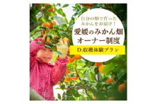 自分の畑が持てる!オーナー制度:Dみかん収穫体験プラン ミヤモトオレンジガーデン＜H25-157＞【1501527】