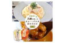 柑橘香る 真鯛を使ったカレーとパスタソースセット＜C25-158＞_ カレー パスタソース セット 詰合せ 柑橘 くだもの 産地直送 産直 愛媛 食べ比べ 国産 グルメ 夕飯 ディナー お取り寄せ 【1503562】