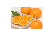 ＜先行受付＞清見タンゴール5kg 贈答品＜C21-25＞【1512551】