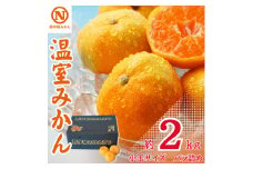 JAにしうわの季節の柑橘「温室みかん 約2kg(小玉サイズバラ詰め)」＜D08-52＞_ みかん ミカン 柑橘 フルーツ くだもの 果物 ふるーつ 青果 果実 甘い ジューシー 産直 産地直送 旬 柑橘類 人気 愛媛 果汁 JA 農協 【1514827】